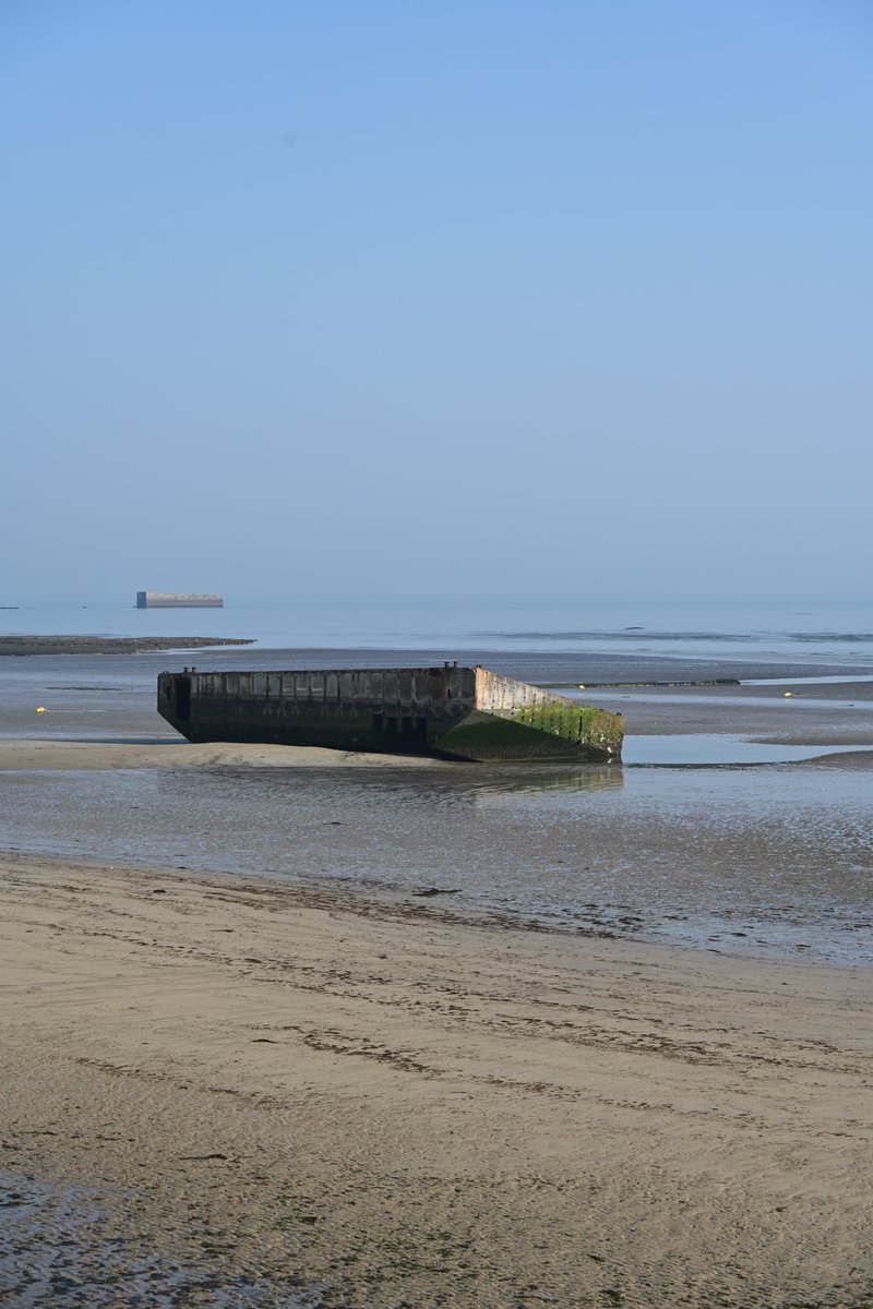 Mr. Cottone tweet media