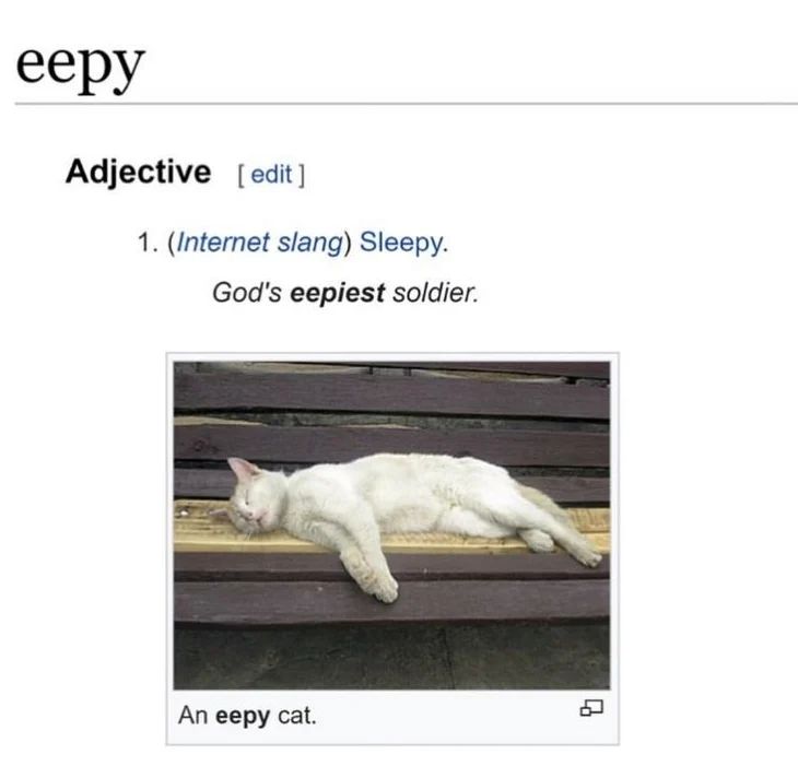 Punch Cat (@punchingcat) on Twitter photo 