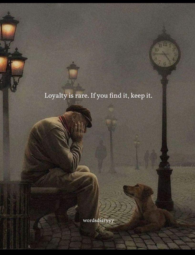 Ravi samrala (@samralaravi) on Twitter photo 