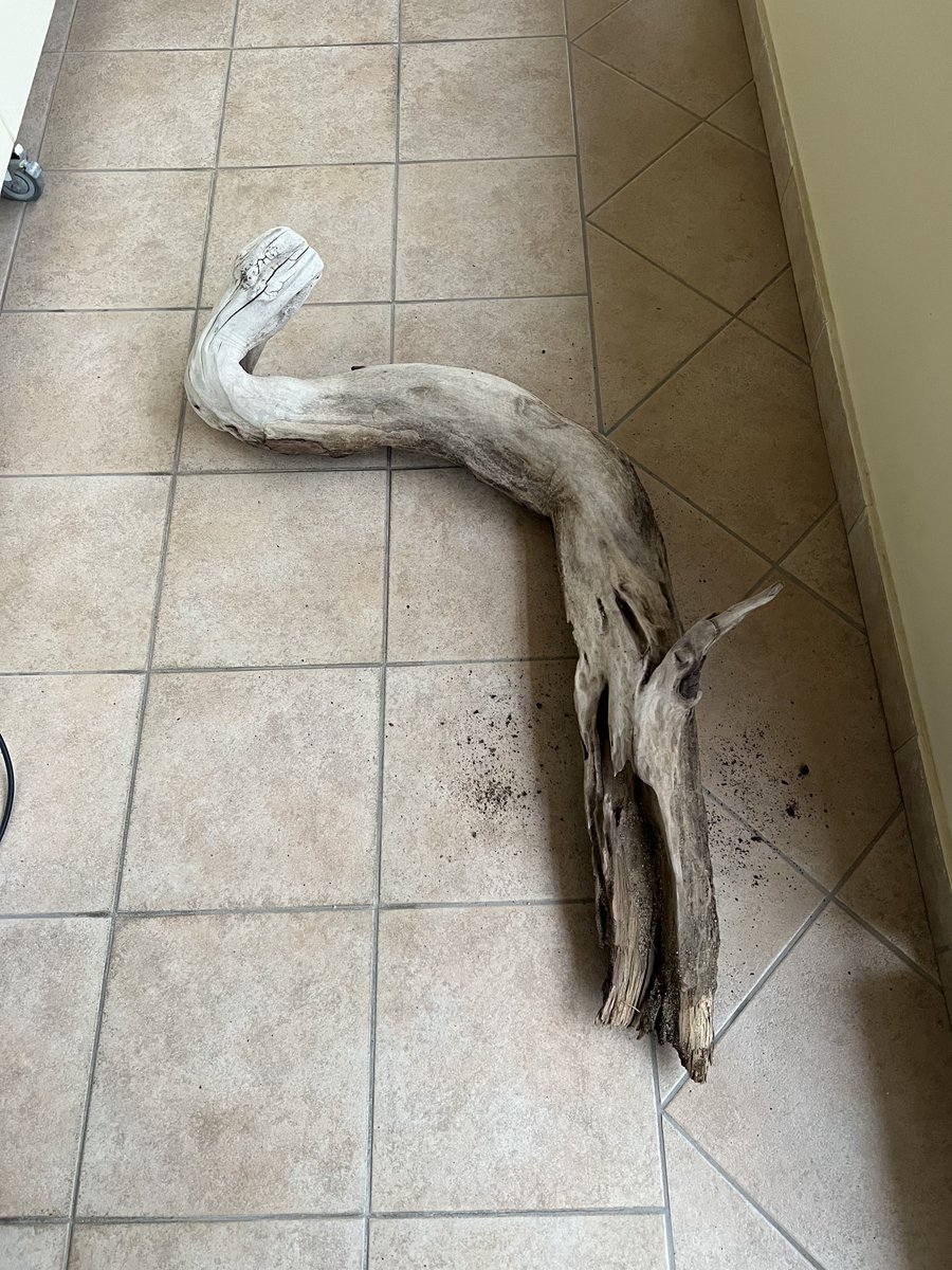 JoJohanus13's tweet image. Αποφόρτιση level 8, #driftwood #seaglass - new project