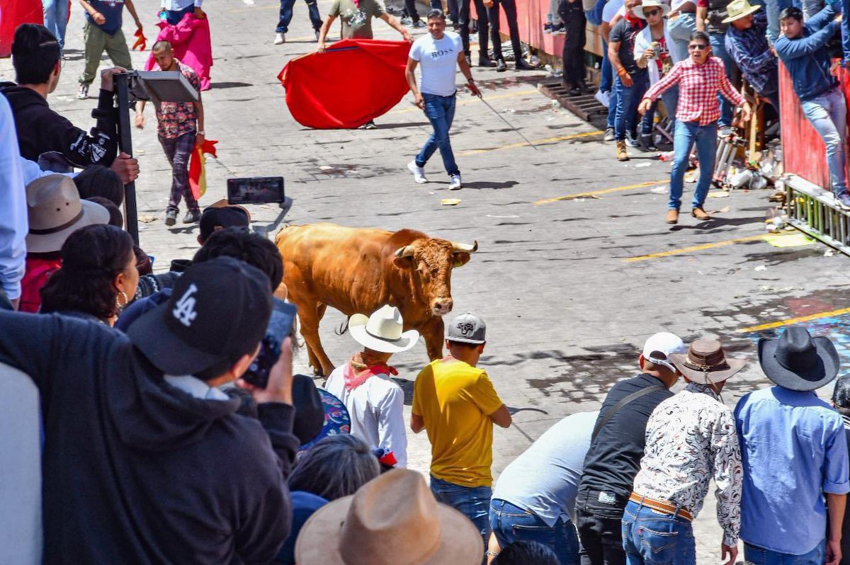 #ChavaSantos: Imágenes que solo las y los huamantlecos podemos sentir #Agosto. 

¡Muy pronto! 
Huamantla Feria Internacional 2024

#Huamantla #PuebloMágico #FeriaHuamantla #FeriaHuamantla2024 #Muéganos #Conciertos #Música #ElFuturoDeLa4TEsVerde #ChavaSantos #ChavaPresidente
