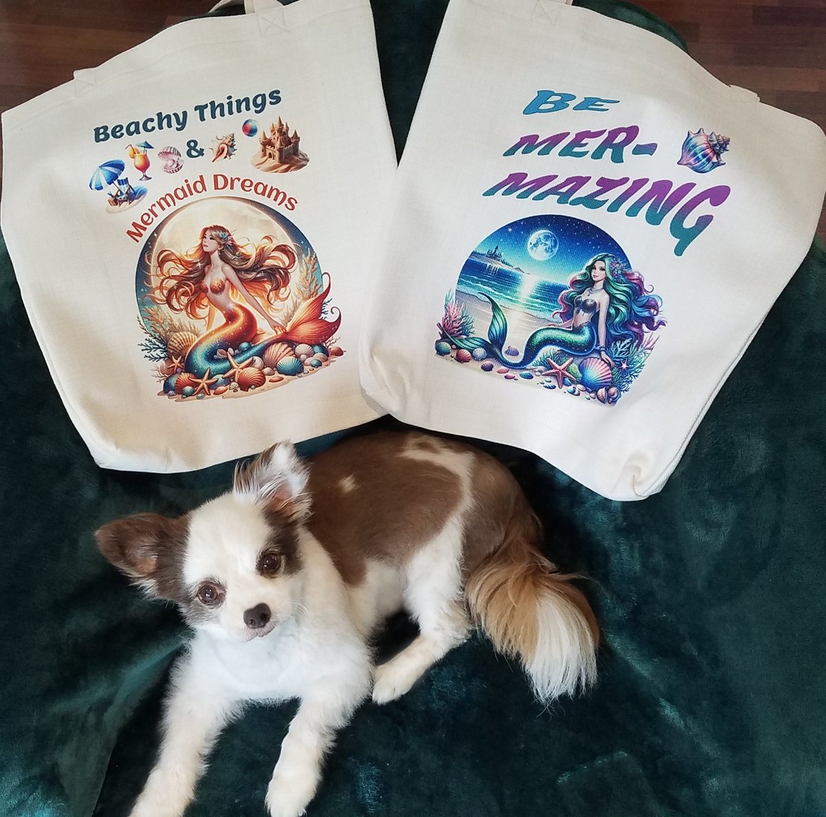 🥳Can yoo help me, pals?
Tryin to Help Mama Make 🏡Rent 🙏dis weekend
and Shoutin bout da
❤️WEEK OF KINDNESS❤️
 but Twittee not showin it to my #anipals !🥺
➡️Please RETWEET my PINNED tweetee!
I wuv yoo sweet &amp; kind pals!🥰
RETWEET🧜‍♀️❤️🐶
#dogsoftwittter #ZSHQ #Hedgewatch #CatsofX