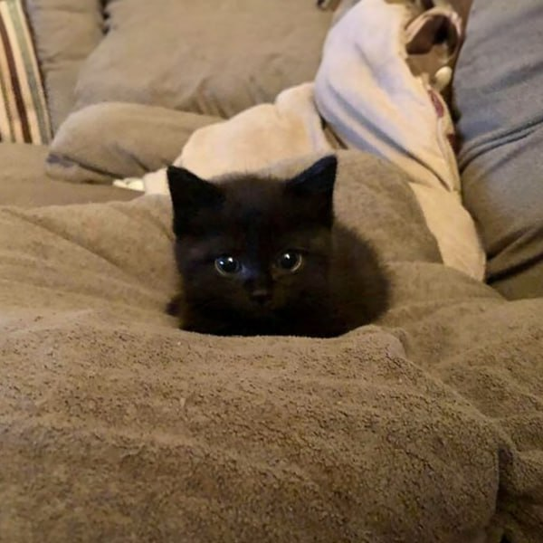 MenaceToSociety 🥶 tweet media