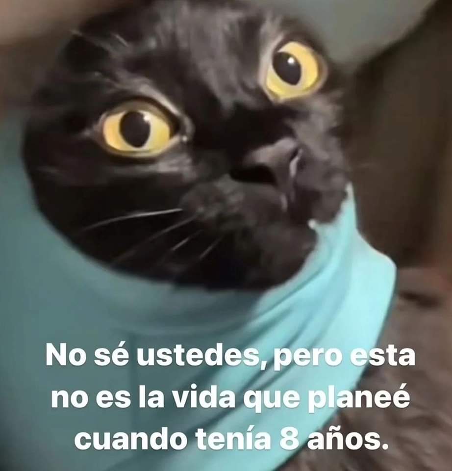 En Júpiter tweet media