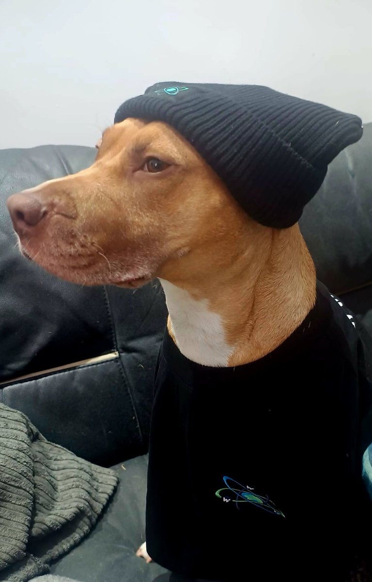 _EricChartman's tweet image. Feeling bullish! So much so, I've upped my rebate fee to 30% on @_WOOFi Pro.
Get almost 1/3rd of your trading fees rebated back to you!
$WIF the hat stays on 🎩