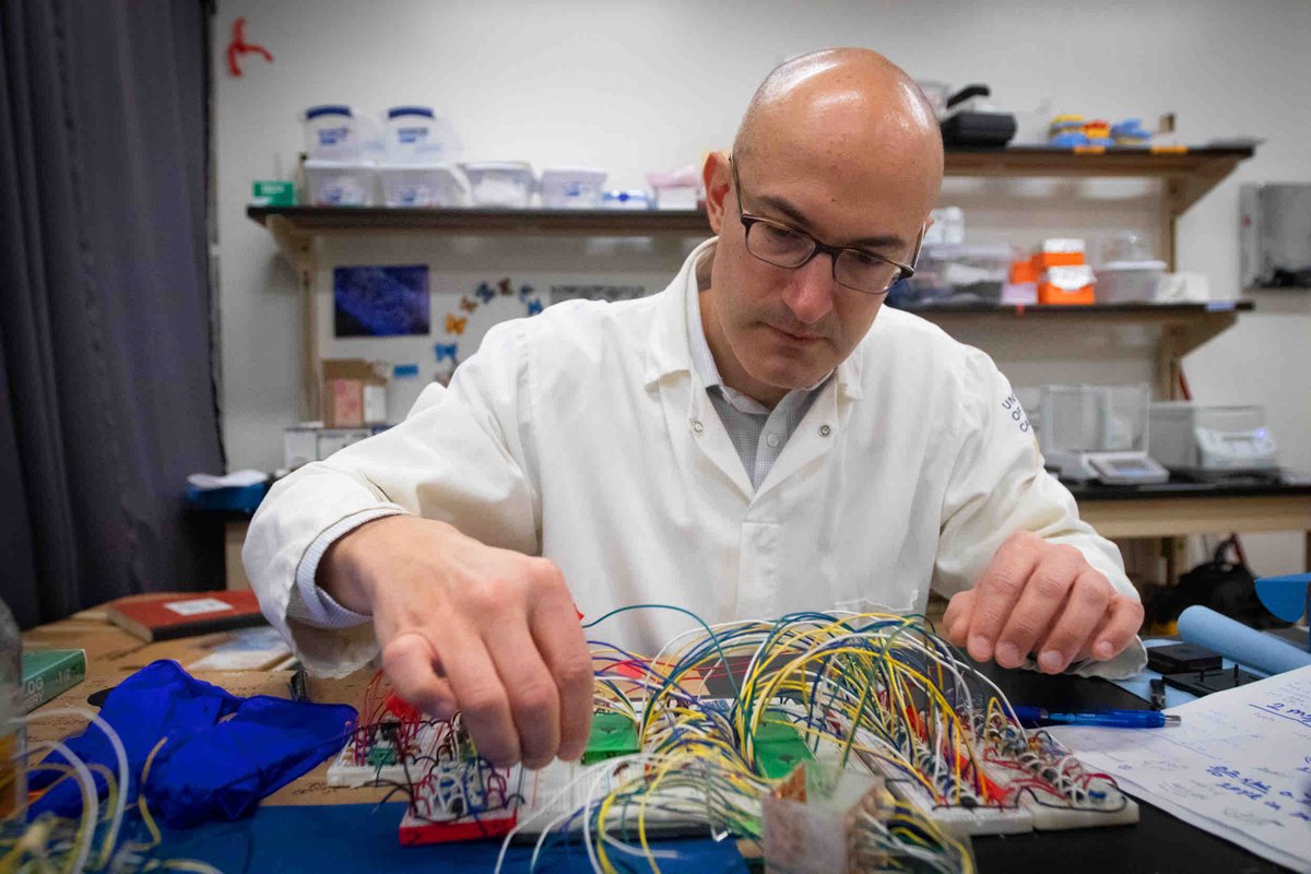 Researchers at UC Davis are taking the phrase “follow your gut” to a whole new level. They’re creating microfluidic technology that can map out and probe the neural pathways that form the gut-brain axis for the first time!  🧠🧬

🔗: engineering.ucdavis.edu/news/breaking-…

#UCDavisEngineering