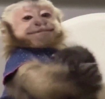 &eacute;&eacute;&eacute; rapazzzz https://t.co/MeOyoJubdp<a href="/tag/votelgbtq"class="tags"><span>#votelgbtq</span></a>