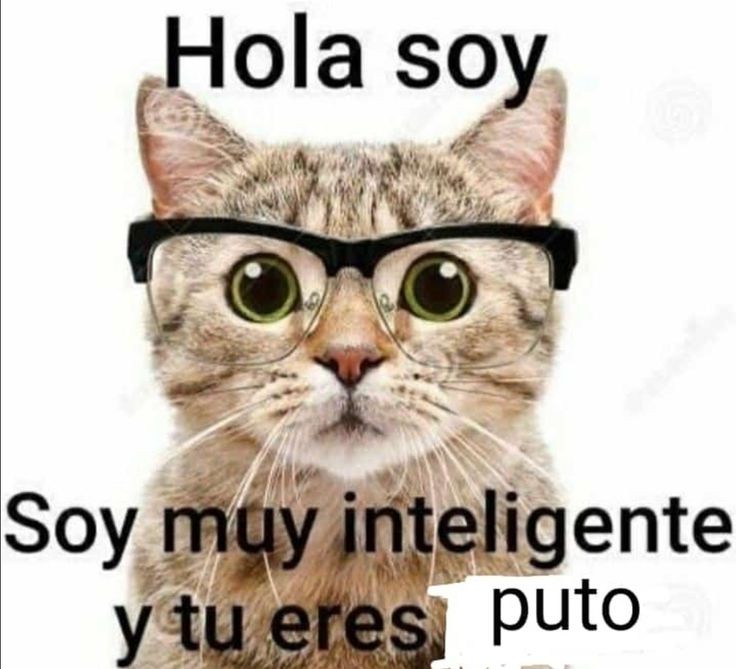 Xhitoo_'s tweet photo. 🖕🏻 y les pongo mi ig abajo https://t.co/E9e6rIdsM6