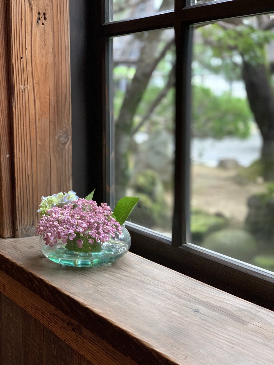 meiringakusha's tweet photo. スタッフの皆が上手に活けてくれます🌼*･

#萩 #萩市 #山口県萩市 #萩明倫学舎 #明倫学舎 #おいでませ山口 #おいでませ山口へ #山口県観光スポット #山口県観光 #萩旅 #ぶらやま #山口県  #紫陽花  #梅雨  #木造建築 https://t.co/7oKnIcrKeW