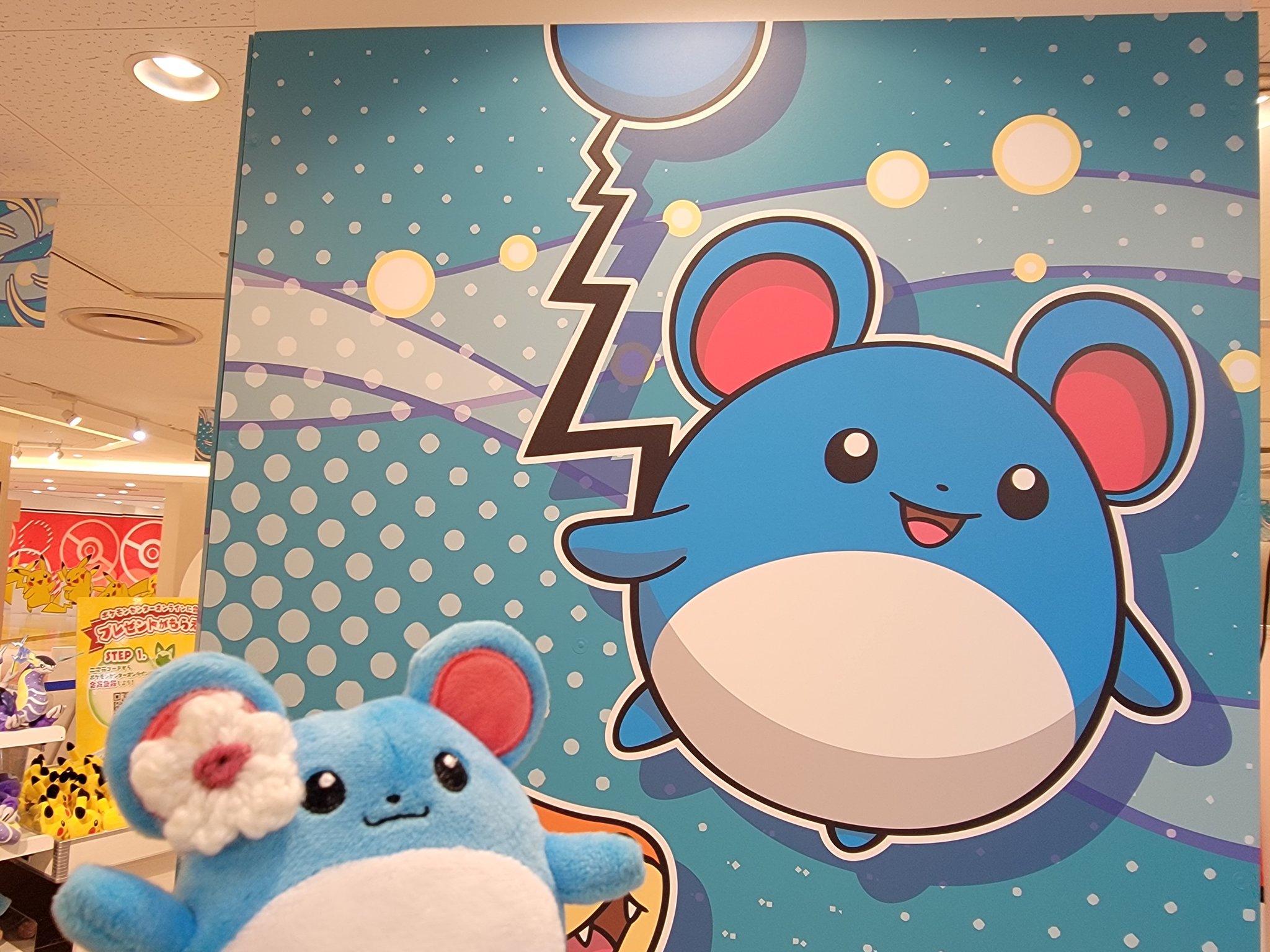 くるくる　ポケモン　ガチャ　未開封　マリル　マルマイン　ホーホー　ニョロモ くるくる ポケモン ガチャ 未開封 マリル マルマイン ホーホー