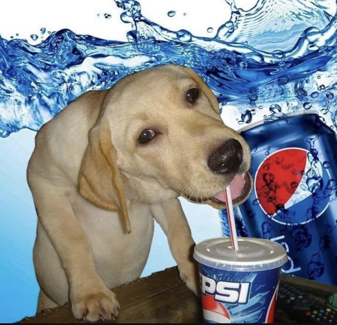 FMS México 🇲🇽 tweet media