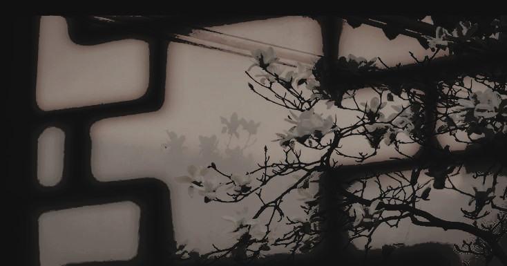 ROTTEVAN's tweet image. ⠀
⠀