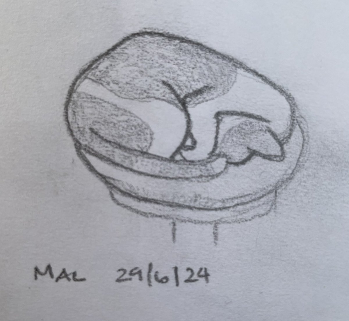 Amy Herself tweet media