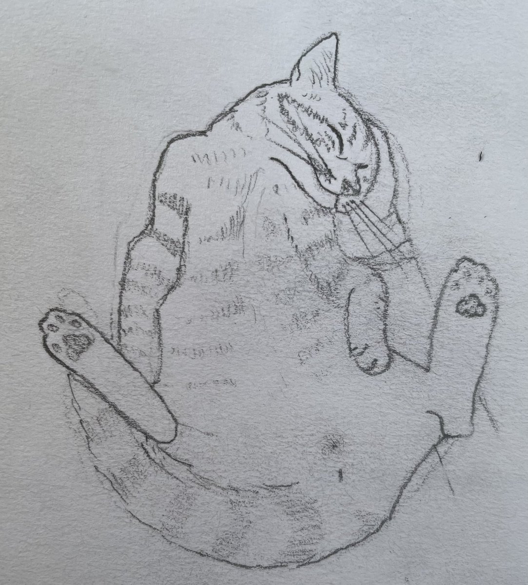 Amy Herself tweet media