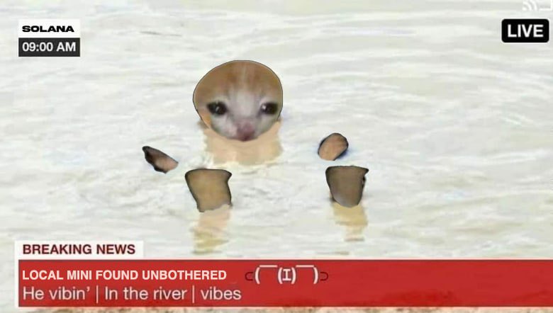 mini tweet media