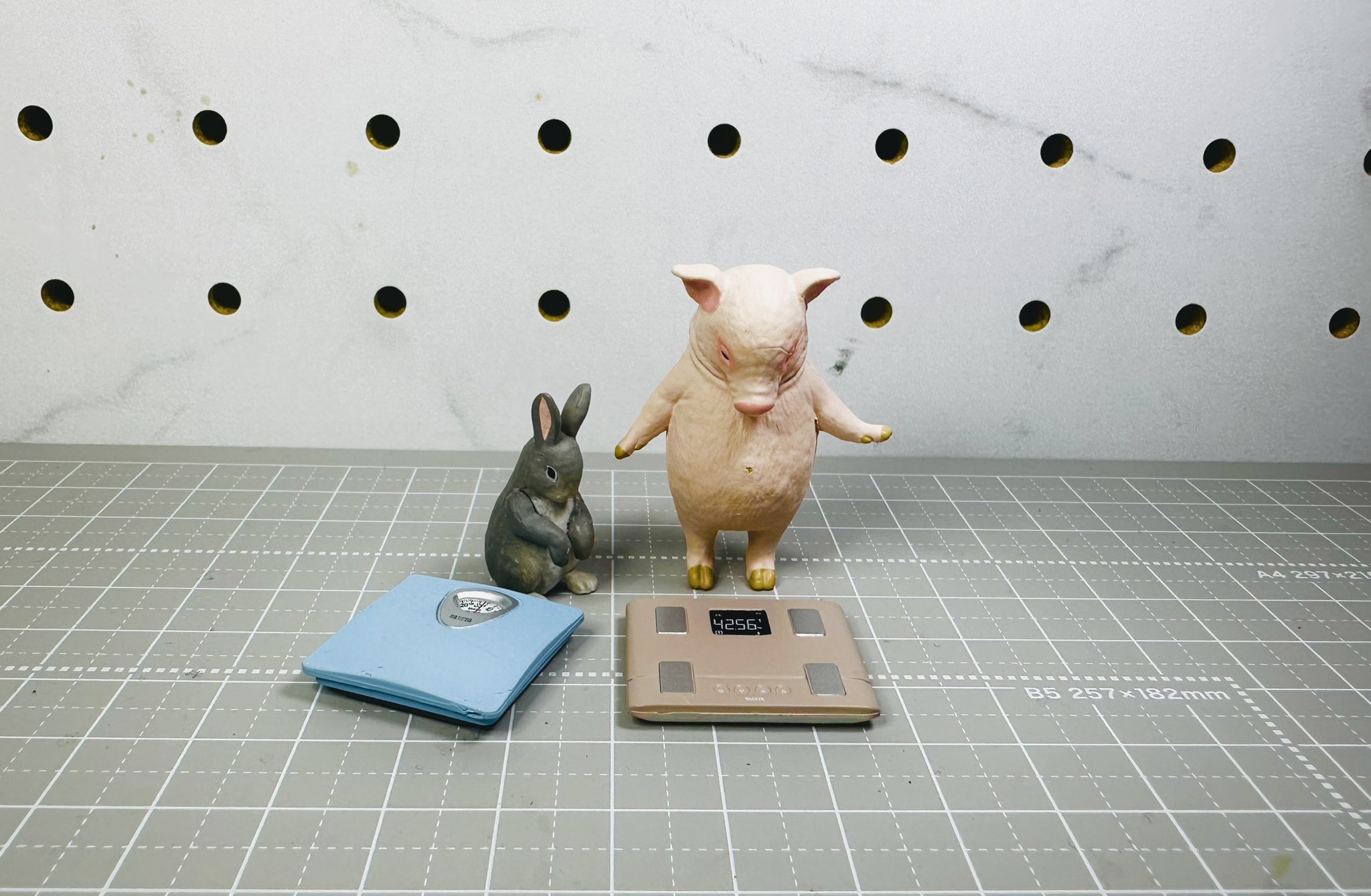 T-ARTS - 今日は何キロ？ ガチャ 今日は何キロ？｜パンダの穴｜スペシャルサイト｜タカラトミーアーツ