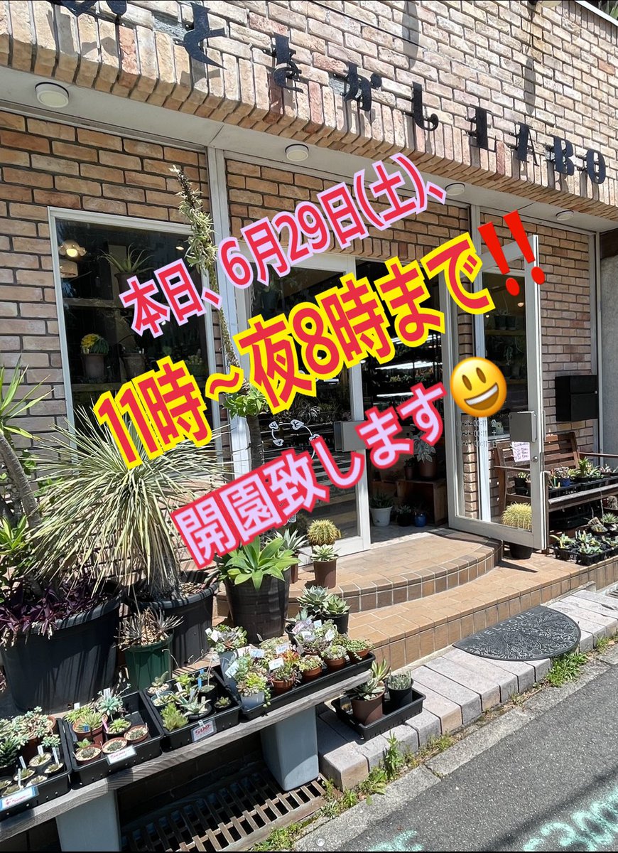 incodou's tweet photo. おはようございます😃
本日、6月29日(土曜日)は夜8時までオープンしますので!
イベントの会にでも寄っていただければ嬉しいです🤣✨✨✨
#redgro #レッグロ https://t.co/oOACQQTSNX