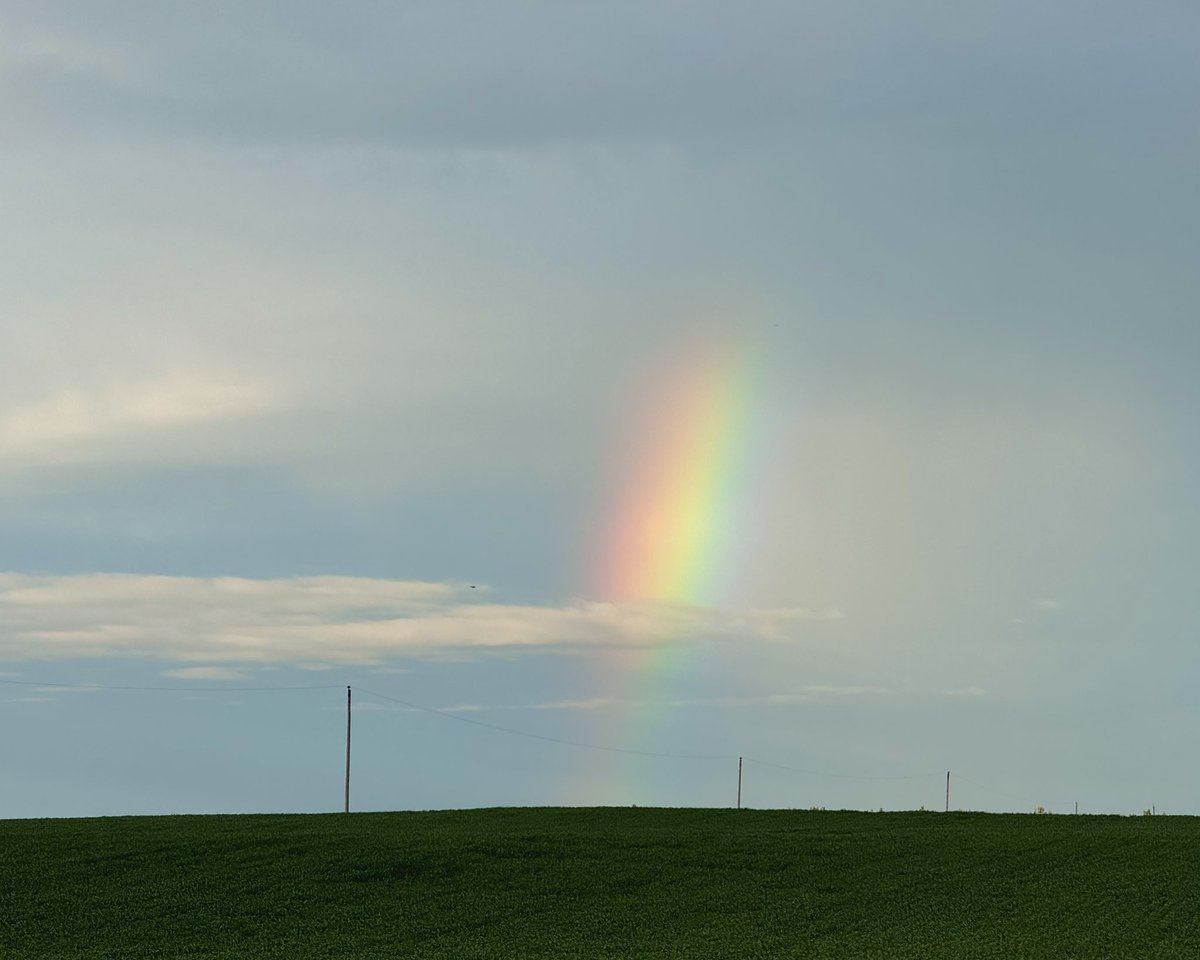 RyanVoutilainen's tweet photo. A bit of a #Prairie #rainbow as the low pressure system that brought heavy rain and thunderstorms across southern Saskatchewan slowly departs.
#SKstorm #SKwx #CanadianPrairies #Prairies #PrairieProvinces https://t.co/culX126NW4