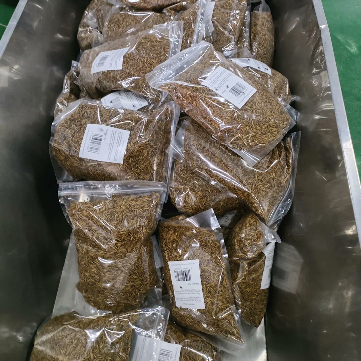 Dried mealworms are waiting to be delivered to customers. There have been some price fluctuations recently, with a small increase.
