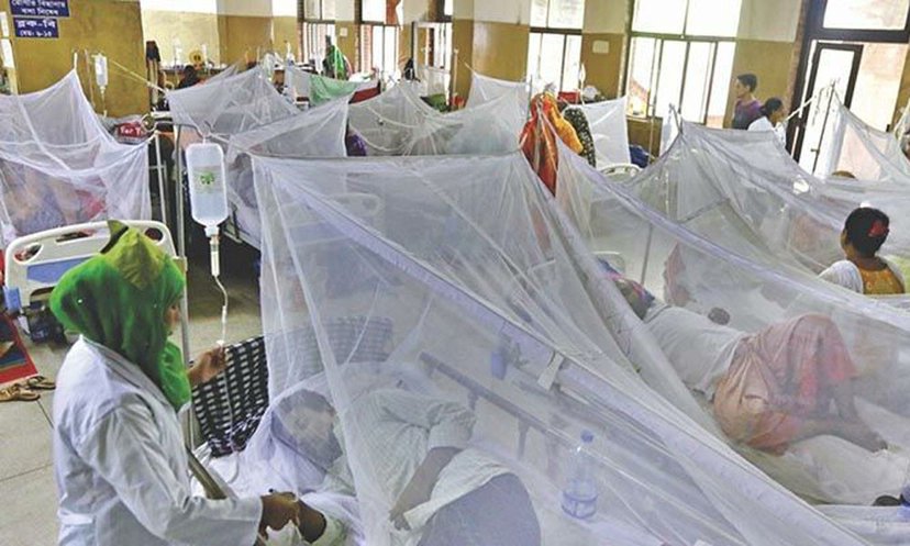 ঢাকার বাইরে ডেঙ্গু রোগী বেড়েছে প্রায় তিন গুণ