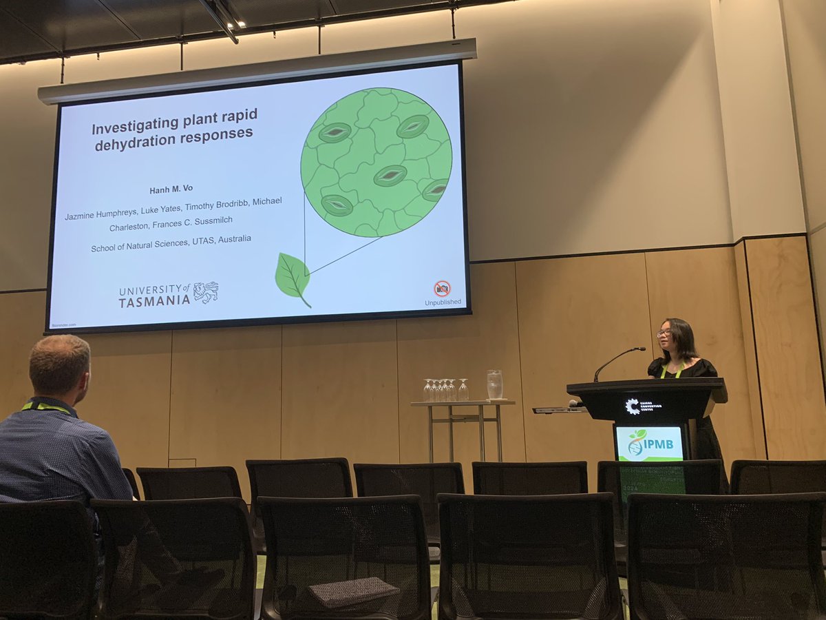 Hanh Minh Vo tweet media