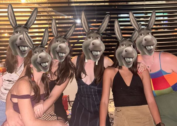 gonkey_r_us's tweet image. Girl gnight