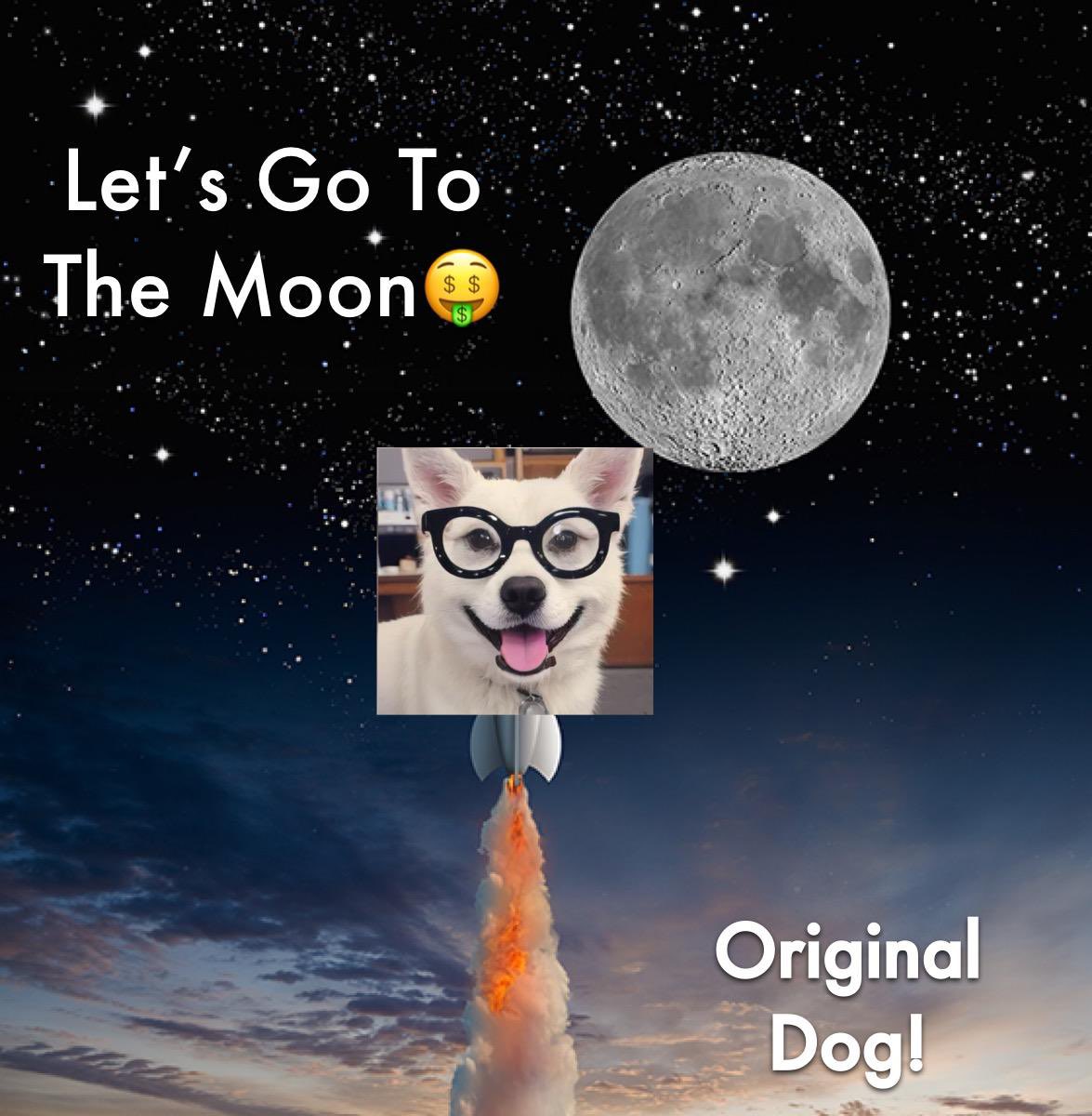 Let’s take OgDog to the moon