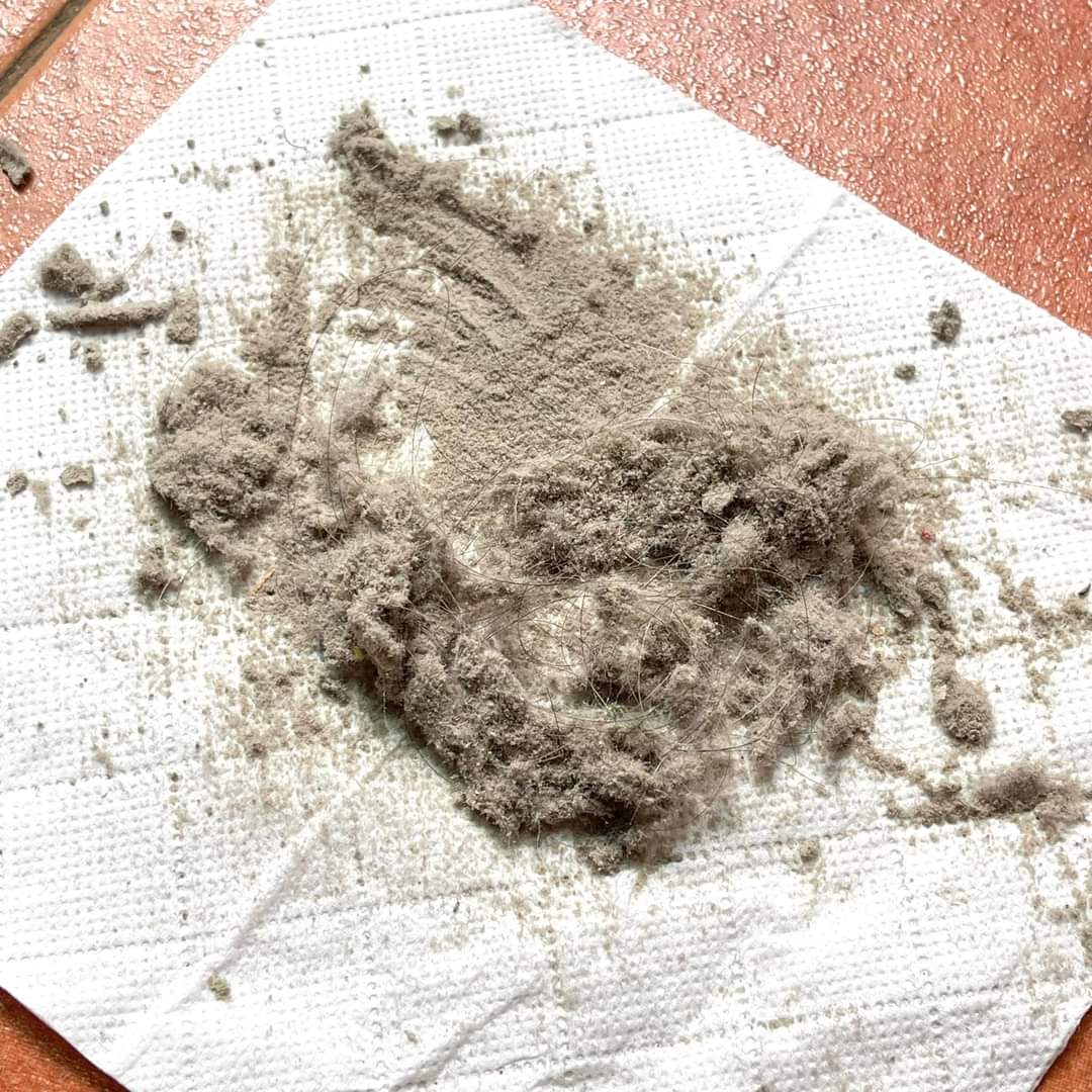 Nampak tilam macam bersih je kan, tapi jangan tertipu yee ! Tilam berdebu pun salah satu punca badan naik jerawat &amp; gatal-gatal tau 🤢

The product                The result