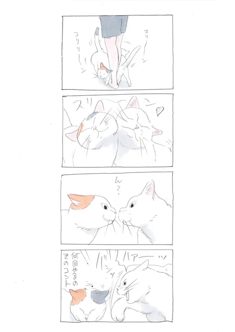 『定番コント』