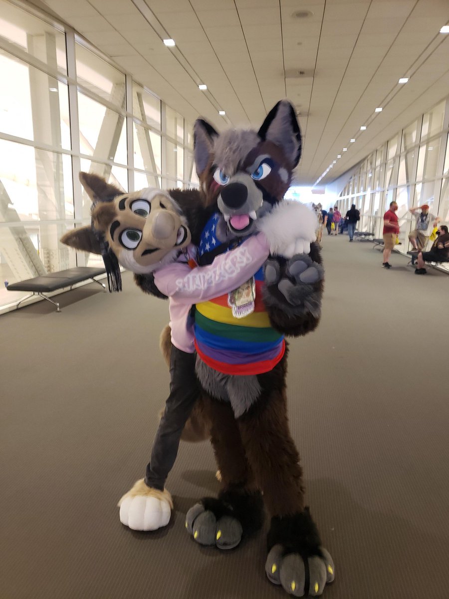 Seb_Shep tweet media