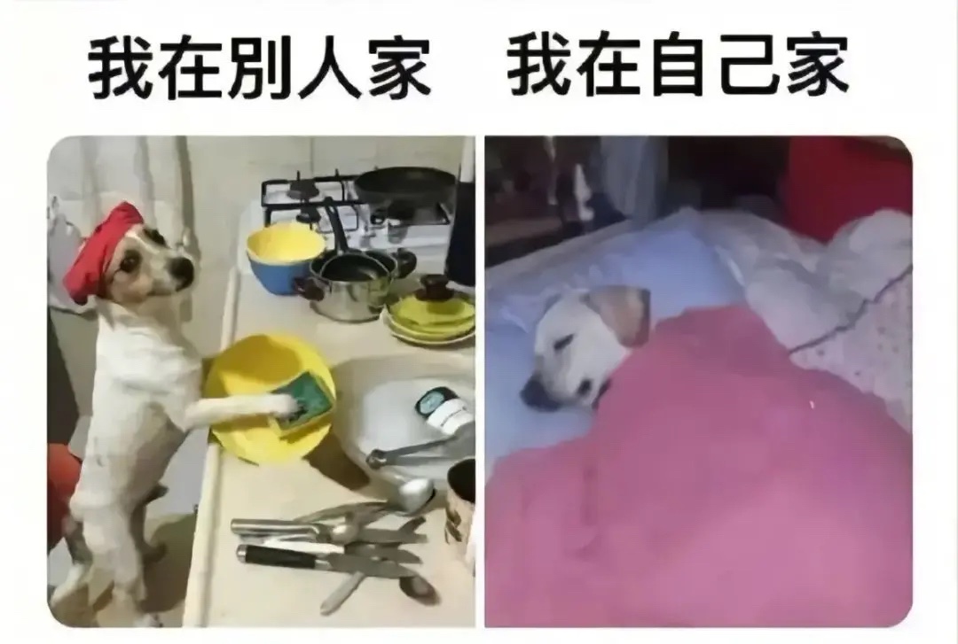 雲鳩 tweet media