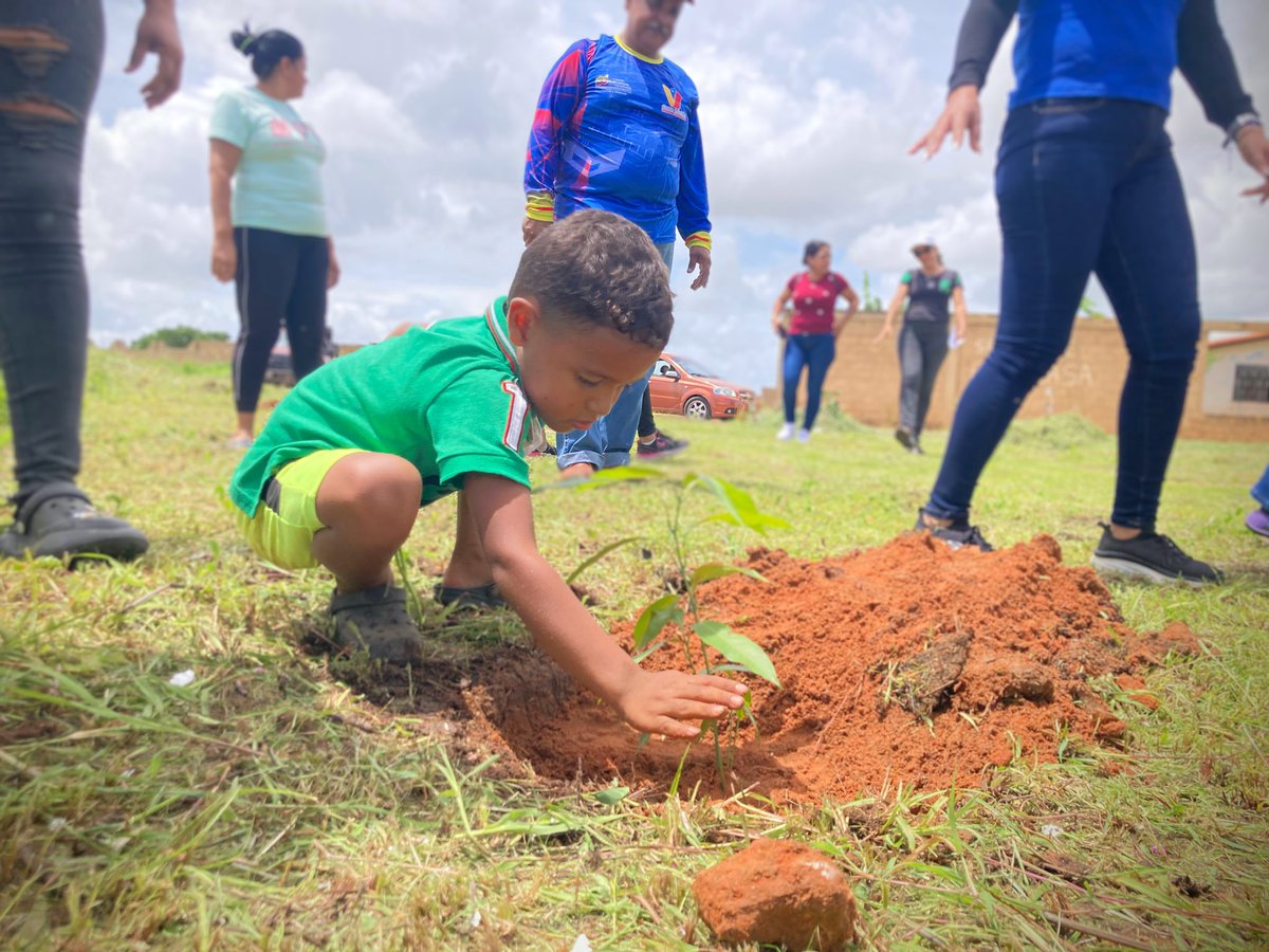 Anz_minhvi's tweet photo. Jornada de Ecourbanismo N°31 de la GMVV 🌿🪴🌱
Siembra de distintas plantas, desmalezamiento y creación de patio productivo en el Urbanismo Ezequiel Zamora II. Una jornada que busca embellecer y crear conciencia ambiental en todos los espacios de los diferentes urbanismos🌳 👏🏻 https://t.co/1gXM34Ke4Q