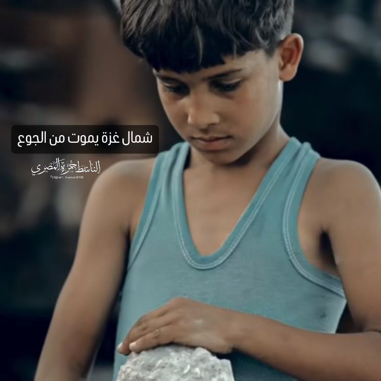 PalestineWonder's tweet photo. 🚨 NORTH GAZA IS STARVING

Don't stay silent.. talk, move, push.. Be a human.

#16thOctoberMediaGroup https://t.co/xu66Mjbmjp