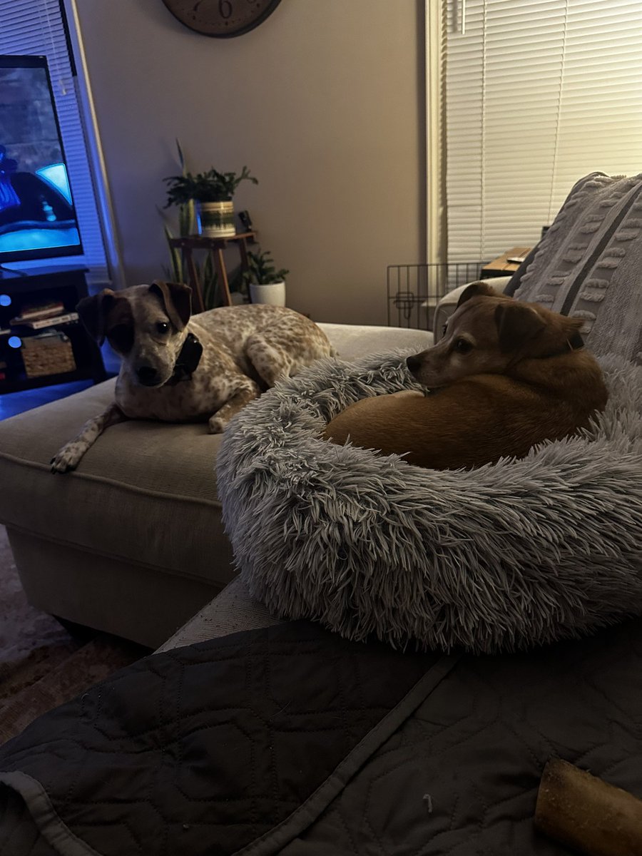 Hannah Macomson tweet media