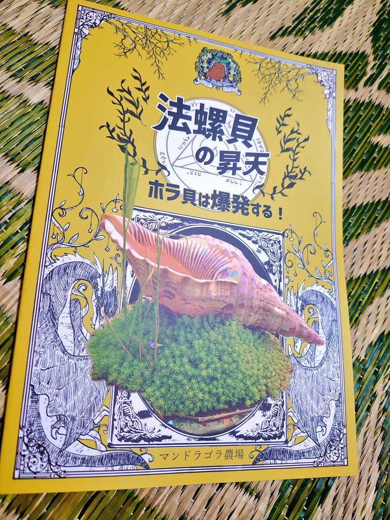 絵画「ほら貝」 注意深く 