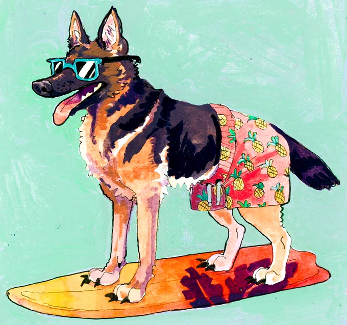 *beyonce voice* surfbort 