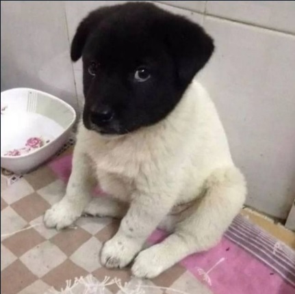 bagofbread (⚰️,⚰️) tweet media