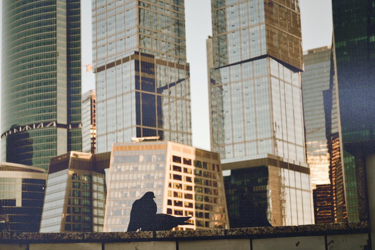 JuliaMaikut's tweet photo. Today is like
#Moscow #sity #glas #NewDAy https://t.co/8poomPp2BV