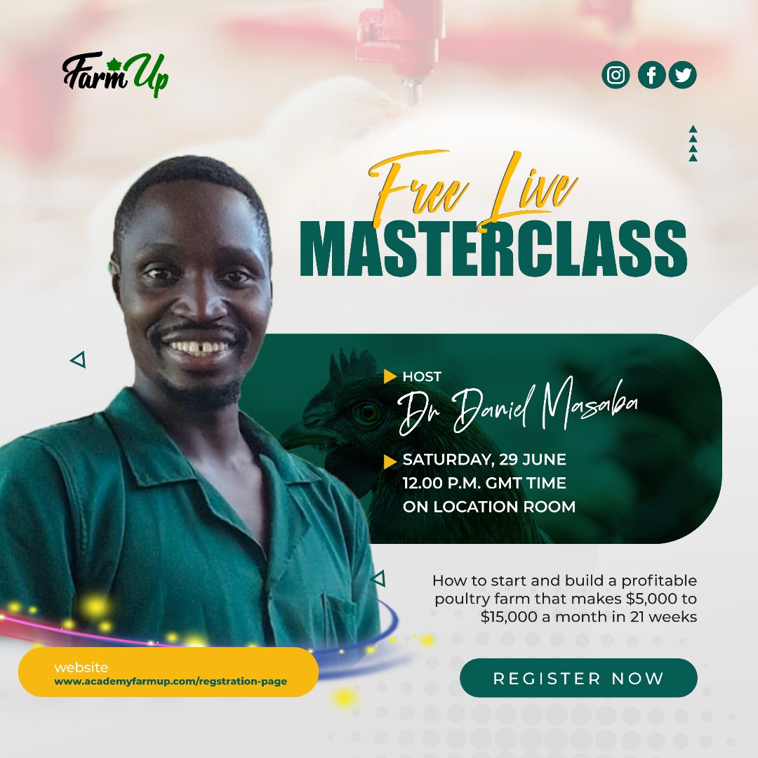 In case you haven’t heard yet…

TODAY is the day of our LIVE Masterclass, where we’ll cover:

How To Build A Profitable Poultry Farm That Makes $5 to $15k Per Month

It’s absolutely FREE to join, so do come along at 12pm GMT (29th June)
Especially those of you who are interested