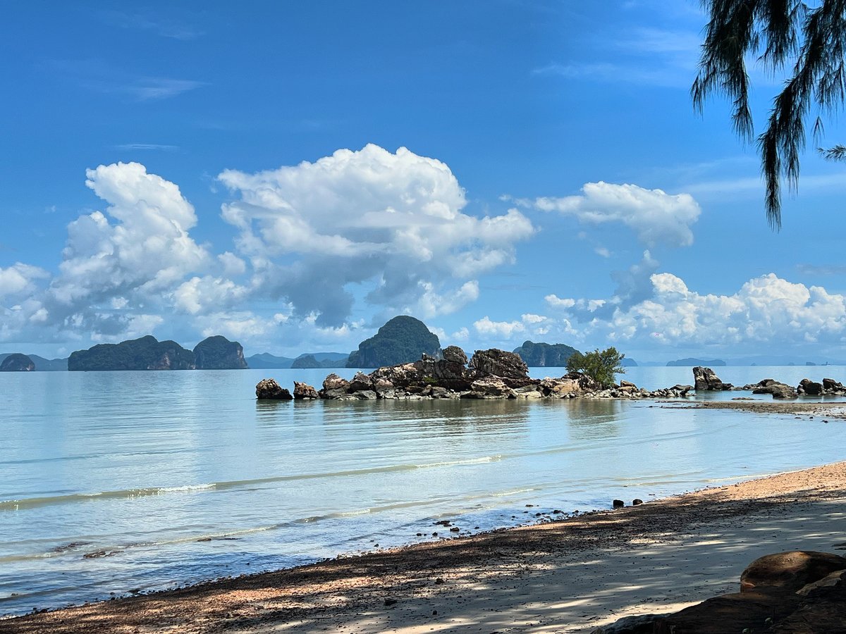 Frank Marshall tweet media