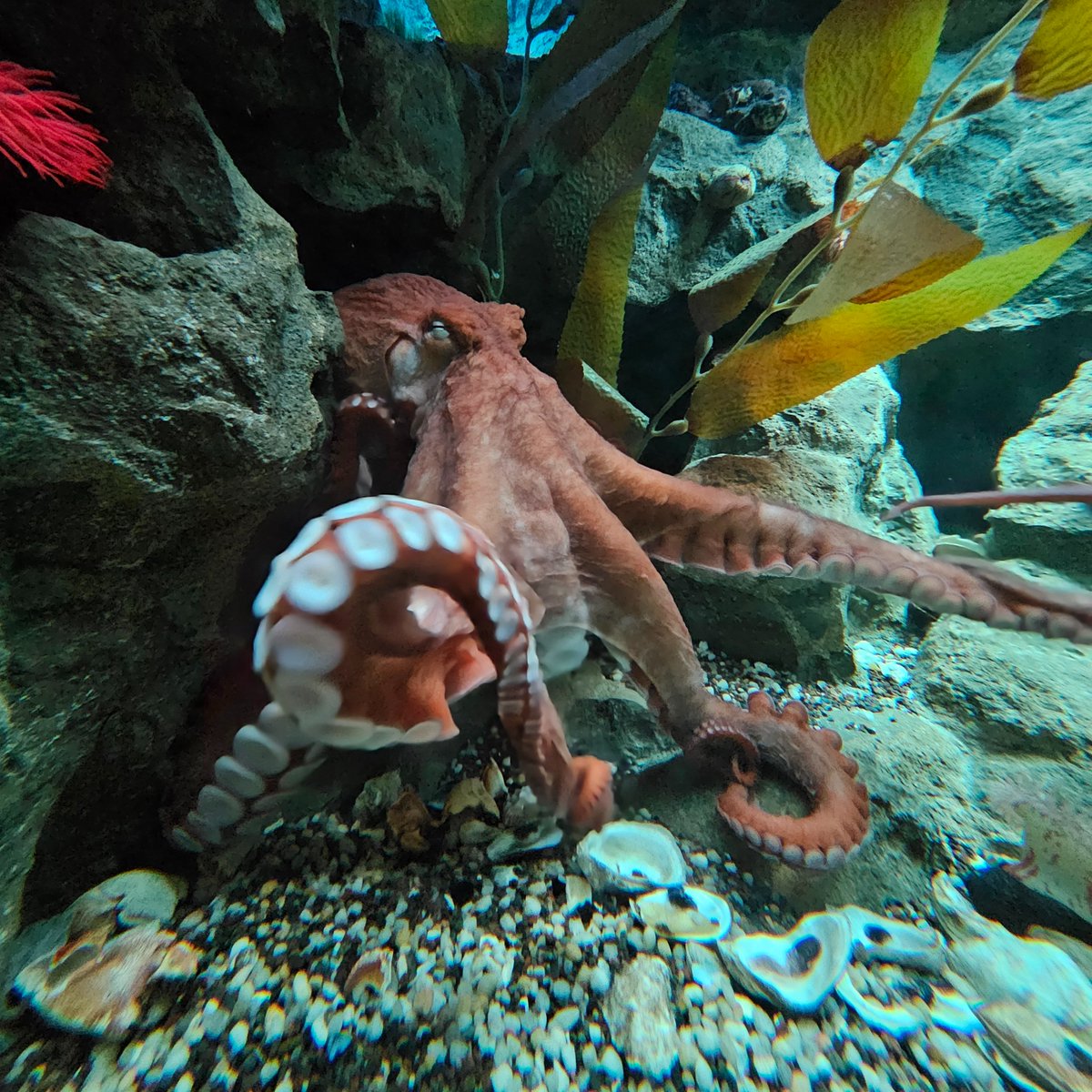 Veve🖤 tweet media