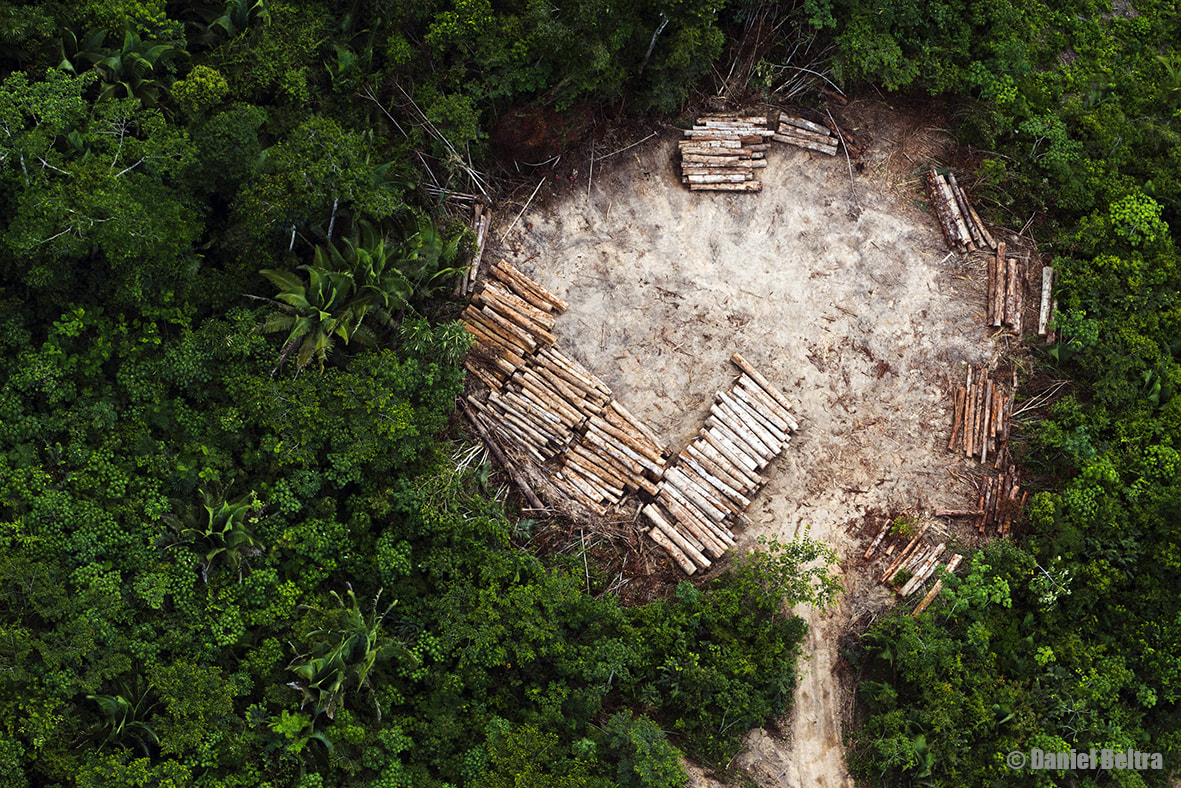 8/10 🐯🌳 Limitation 7: Wildlife crime data includes only police-registered cases. However, forest departments also register many cases. For accurate wildlife crime statistics, data from both police and forest departments should be combined. <a href="/WCCBHQ/">Wildlife Crime Control Bureau</a> should take the lead.