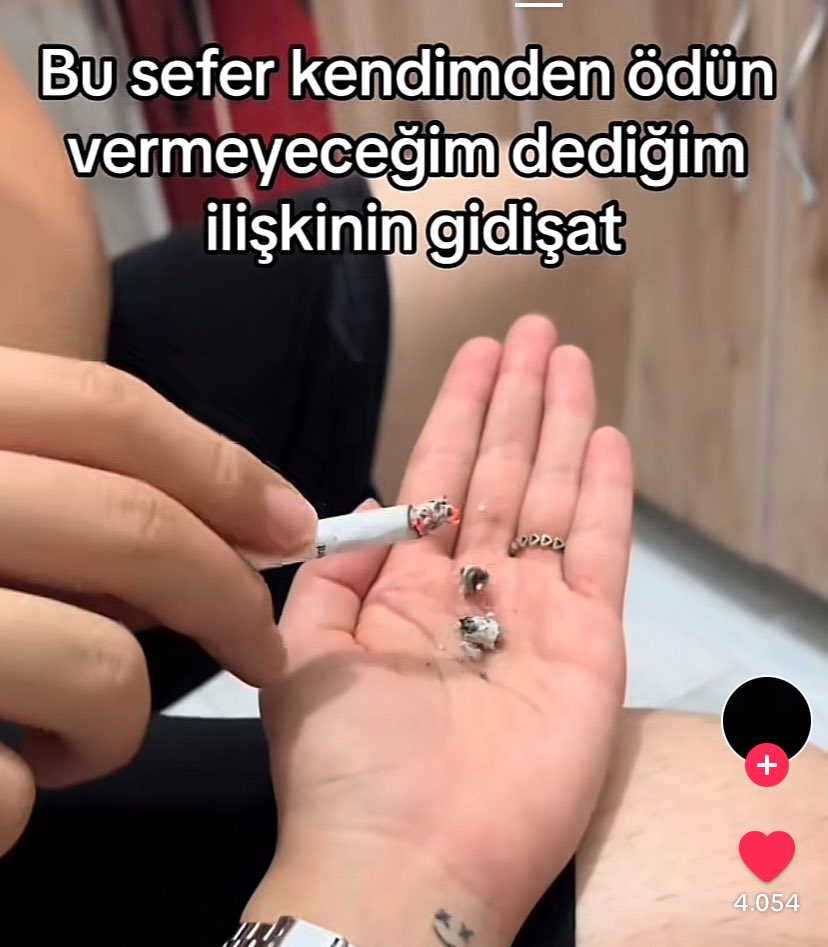 sevince bizim enayilik salaklik geri zekalilik