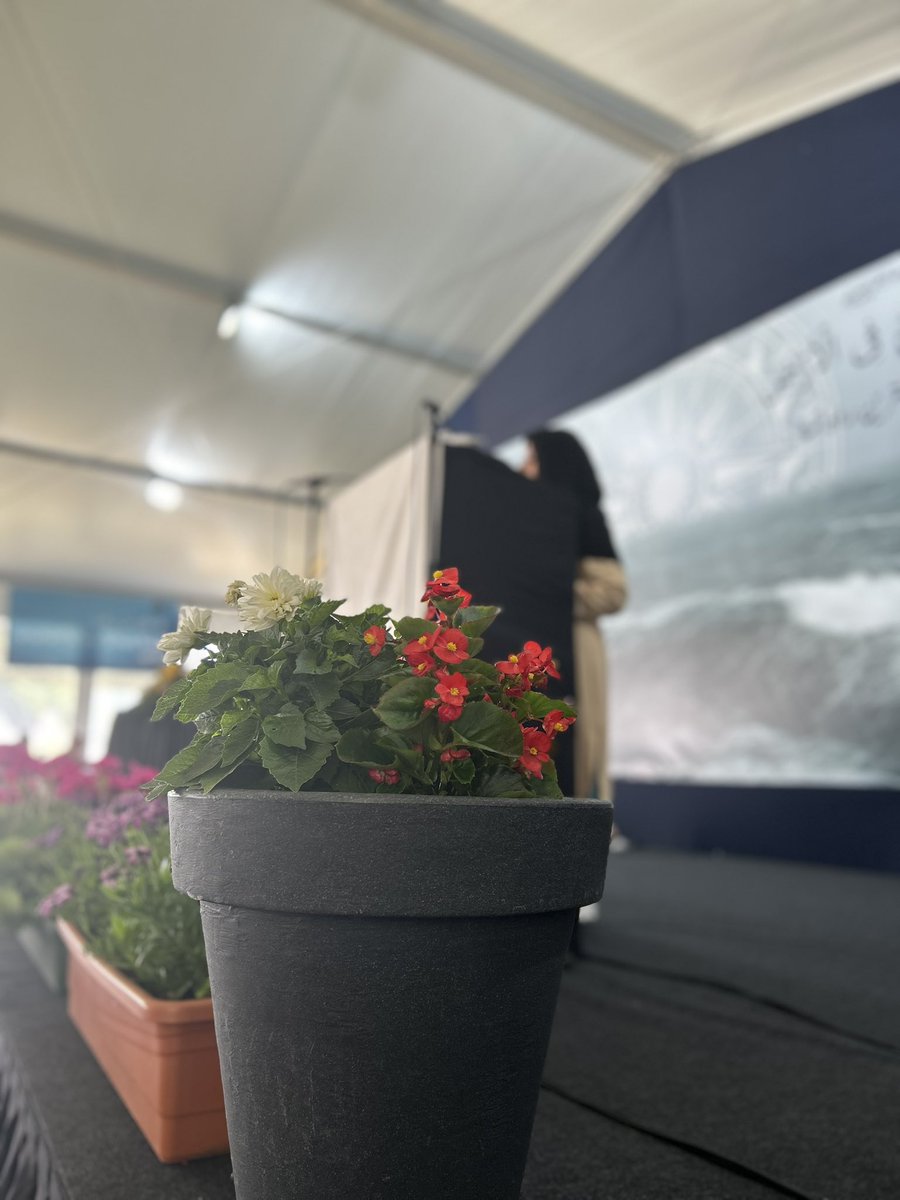 LadjnaNL's tweet photo. Dag 2 van Jalsa Salana Nederland is van start gegaan. Vandaag beginnen we met de ladjna sessie. ✨
#jalsaNL #JalsaConnect #Islam #moslim https://t.co/vhG4sTq7sl