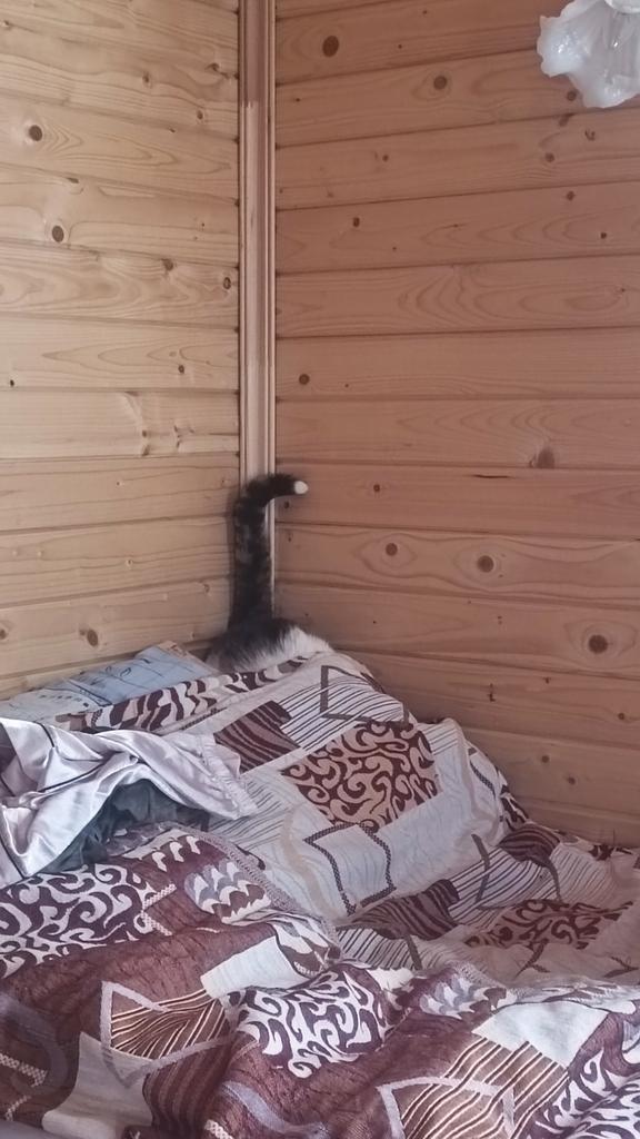 Это что, жоп