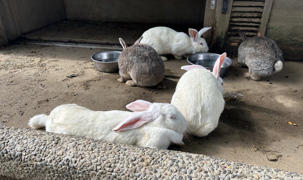 ここがオフ会会場ですか…？