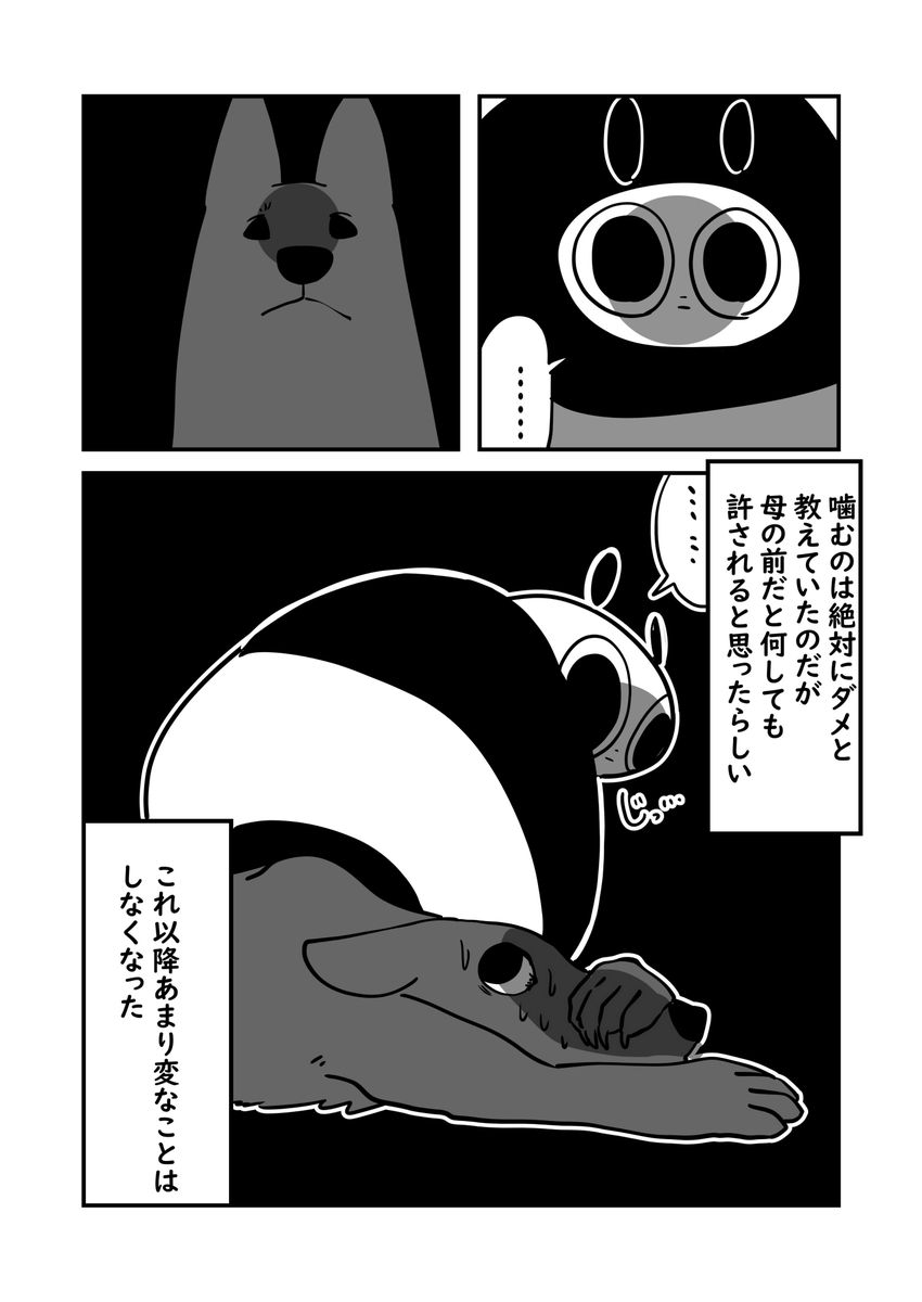 母と愛犬 調子に乗りすぎる犬 3/3 