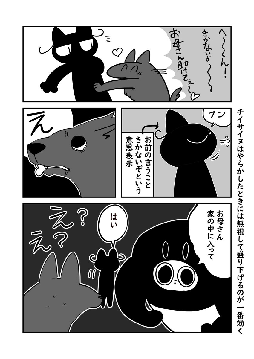 母と愛犬 調子に乗りすぎる犬 3/3 