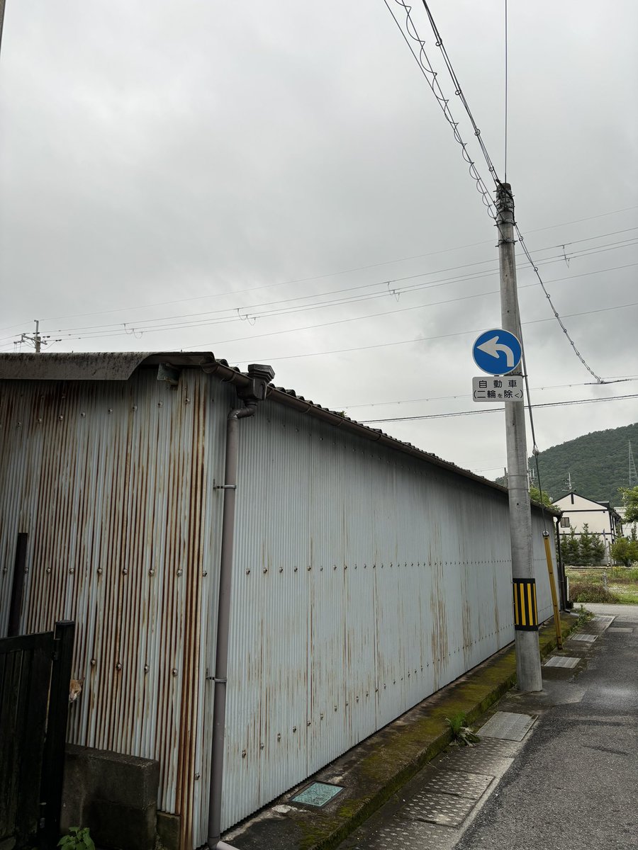 わんこの散歩中に視線