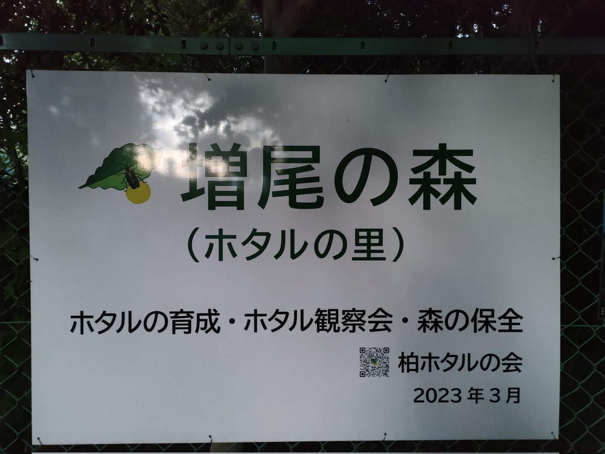 chat_com's tweet image. 今年もホタルを見に来た。
去年よりはだいぶ列の前の方。